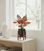 Load image into Gallery viewer, Stone Black stand:walnut
