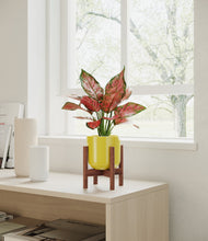 Load image into Gallery viewer, Key Lime Yellow stand:walnut
