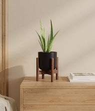 Load image into Gallery viewer, Stone Black stand:walnut
