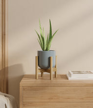 Load image into Gallery viewer, Misty Blue stand:bamboo
