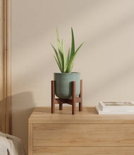 Load image into Gallery viewer, Reactive Aqua stand:walnut
