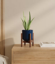Load image into Gallery viewer, Twilight Blue stand:walnut
