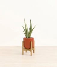 Load image into Gallery viewer, Glossy Red stand:bamboo
