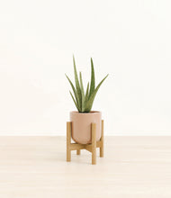 Load image into Gallery viewer, Glossy Pink stand:bamboo
