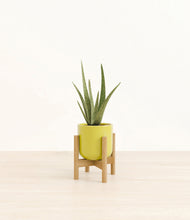 Load image into Gallery viewer, Key Lime Yellow stand:bamboo
