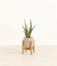 Load image into Gallery viewer, Sandy Pink stand:bamboo
