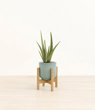 Load image into Gallery viewer, Reactive Aqua stand:bamboo
