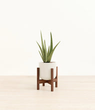Load image into Gallery viewer, Cotton White stand:walnut
