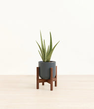 Load image into Gallery viewer, Iron Gray stand:walnut
