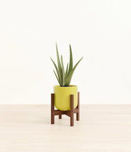 Load image into Gallery viewer, Key Lime Yellow stand:walnut

