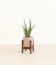 Load image into Gallery viewer, Sandy Pink stand:walnut

