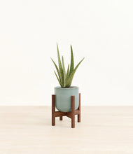 Load image into Gallery viewer, Reactive Aqua stand:walnut
