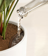 Load image into Gallery viewer, White stand:all
