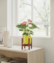 Load image into Gallery viewer, Key Lime Yellow stand:walnut
