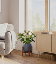Load image into Gallery viewer, Deep Navy stand:walnut
