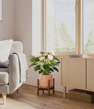 Load image into Gallery viewer, Calm Rose stand:walnut
