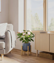 Load image into Gallery viewer, Deep Navy stand:bamboo
