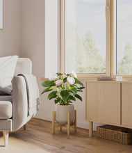 Load image into Gallery viewer, Eternal Gray stand:bamboo

