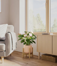 Load image into Gallery viewer, Gentle Pink stand:bamboo
