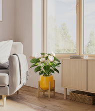 Load image into Gallery viewer, Mustard stand:bamboo
