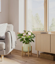 Load image into Gallery viewer, Turquoise stand:bamboo
