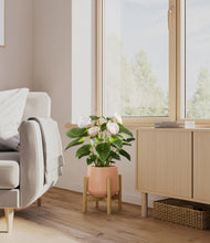 Load image into Gallery viewer, Calm Rose stand:bamboo

