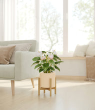 Load image into Gallery viewer, Cream stand:bamboo
