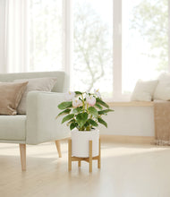Load image into Gallery viewer, White stand:bamboo
