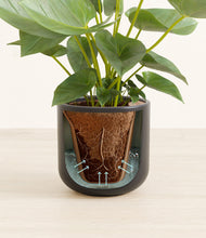 Load image into Gallery viewer, Stone Black stand:all
