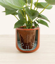 Load image into Gallery viewer, Glossy Red stand:all
