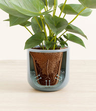 Load image into Gallery viewer, Misty Blue stand:all
