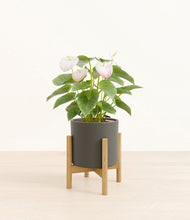 Load image into Gallery viewer, Dark Olive stand:bamboo
