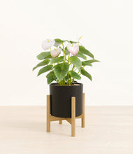 Load image into Gallery viewer, Black stand:bamboo
