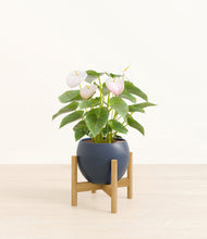 Load image into Gallery viewer, Deep Navy stand:bamboo
