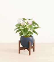 Load image into Gallery viewer, Deep Navy stand:walnut
