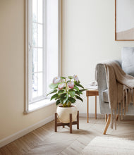 Load image into Gallery viewer, Shiny EggWhite stand:walnut
