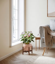 Load image into Gallery viewer, Calm Rose stand:walnut
