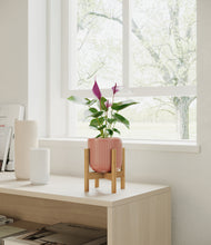 Load image into Gallery viewer, Striped Rose Pink stand:bamboo
