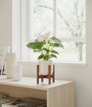 Load image into Gallery viewer, Cotton White stand:walnut
