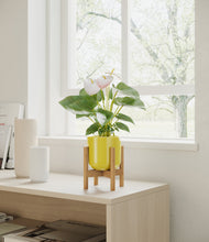 Load image into Gallery viewer, Key Lime Yellow stand:bamboo
