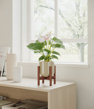 Load image into Gallery viewer, Sage Green stand:walnut

