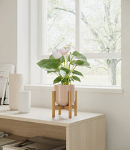 Load image into Gallery viewer, Sandy Pink stand:bamboo
