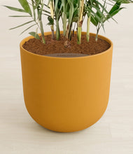 Load image into Gallery viewer, Sunset Orange stand:all
