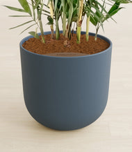 Load image into Gallery viewer, Iron Gray stand:all
