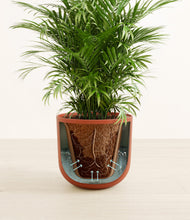 Lade das Bild in den Galerie-Viewer, Earth Red stand:all
