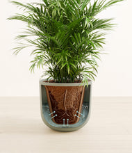 Lade das Bild in den Galerie-Viewer, Sage Green stand:all
