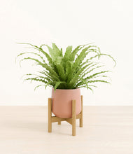 Load image into Gallery viewer, Calm Rose stand:bamboo
