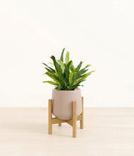 Load image into Gallery viewer, Eternal Gray stand:bamboo
