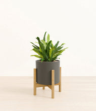 Load image into Gallery viewer, Dark Olive stand:bamboo
