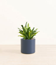 Load image into Gallery viewer, Deep Navy*****Profile
